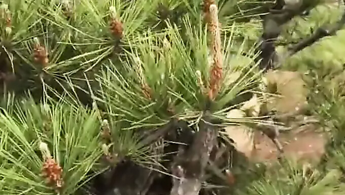 Une Chinoise Qui Déambule Dans Un Jardin Public