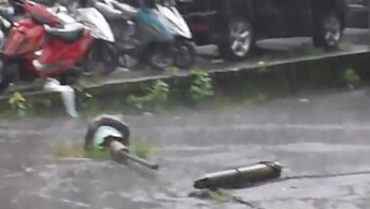 Teman Yang Menarik Dan Bersahabat Dengan Polio