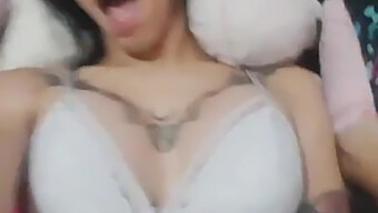 Shemales Fucking In Hd Video