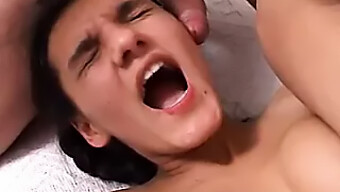 Studentka Se Zapojí Do Análního Sexu A Trojky S Creme Pie