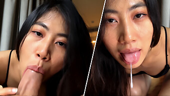 Pov 4k Video Of Me Giving A Blowjob To My Asian Partner And Swallowing His Cum